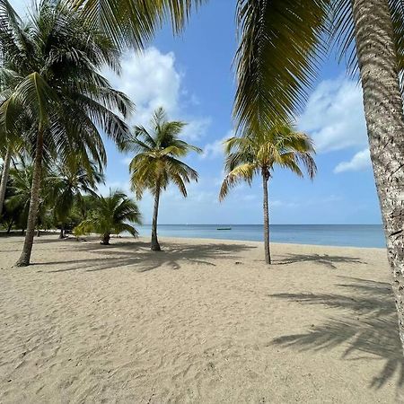 T2 Avec Parking - Entierement Climatise - Chez Elo Apartment Schoelcher Bagian luar foto
