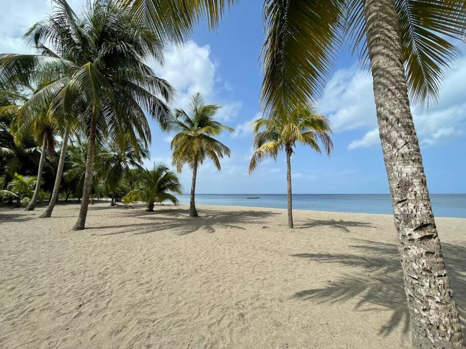 T2 Avec Parking - Entierement Climatise - Chez Elo Apartment Schoelcher Bagian luar foto